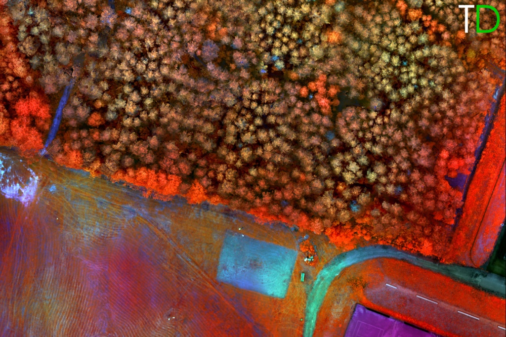 Рис.7. Ортофотоплан (Multispectral) Рис.7. Ортофотоплан (Multispectral)