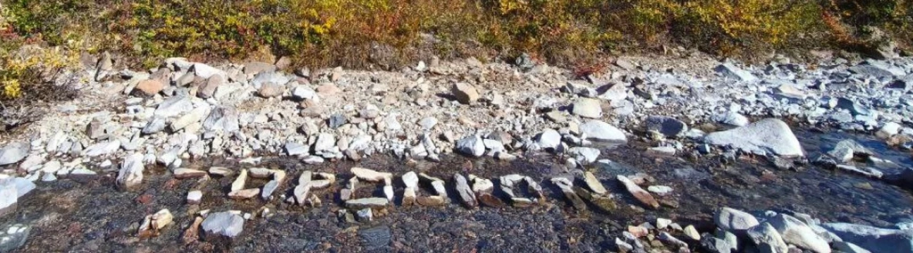 Example survey output