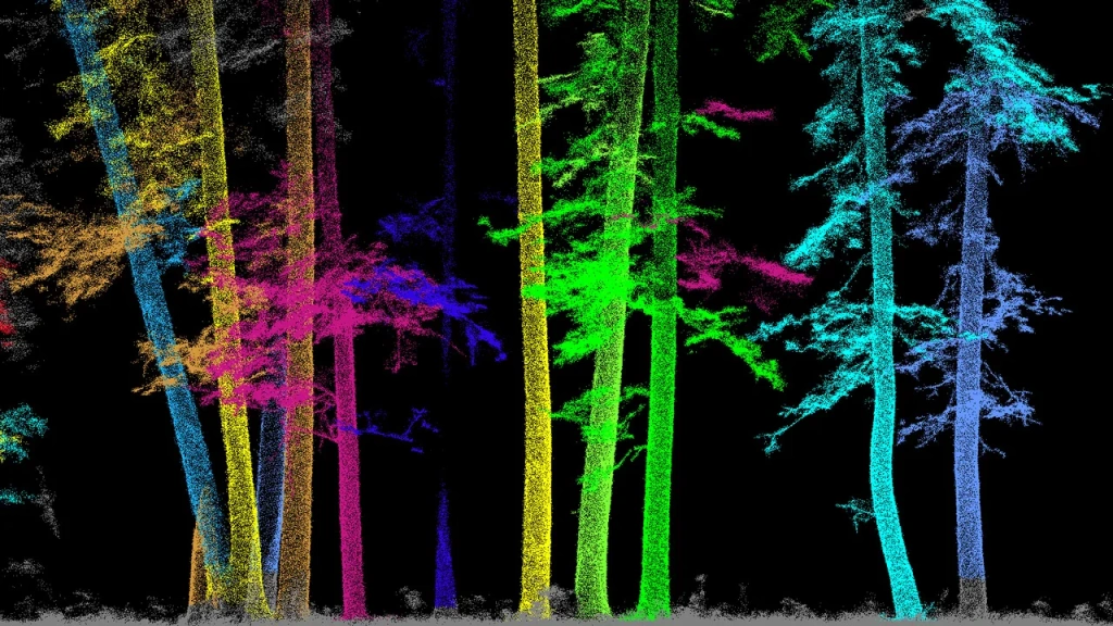 Tree classification based on the results of geodetic tree inventory