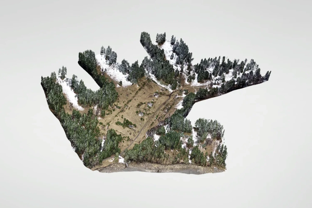 Topographic baseline from UAV data