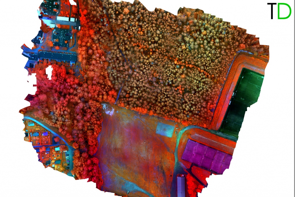 Рис.4. Ортофотоплан (Multispectral) Multi_images.jpg