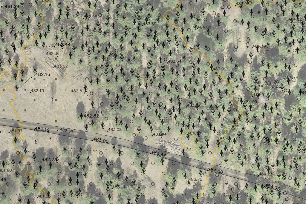 Production of topographic plan deliverables