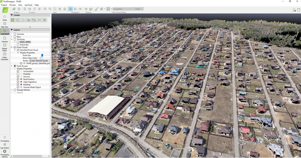 Dense point cloud, created by the software 11.jpg